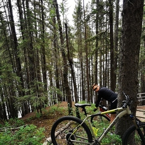 2019 Rocky Mountain Bicycles Fusion 30 Silver, gray or bare metal, Green, and Black