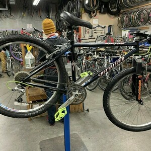 Specialized Rockhopper Blue