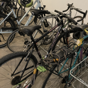 Specialized Rockhopper Blue