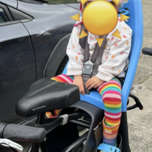 2022 Rad Power Bikes RadRunner2 Black