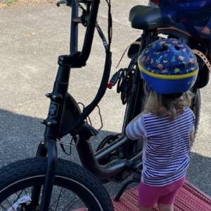 2022 Rad Power Bikes RadRunner2 Black