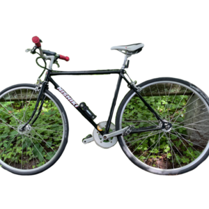 Nishiki 49cm 19” Black