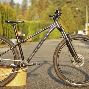 2020 Rocky Mountain Bicycles Growler 20 Silver, gray or bare metal