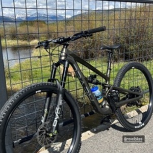 2023 Revel Rail 29 Silver, gray or bare metal