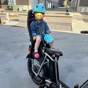 2023 Rad Power Bikes 106-00007 cargo bike (rear storage) Silver, gray or bare metal