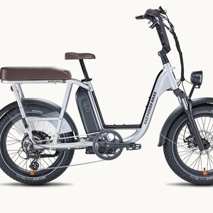 2023 Rad Power Bikes 106-00007 cargo bike (rear storage) Silver, gray or bare metal