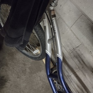 Schwinn Jaguar Blue and Silver, gray or bare metal