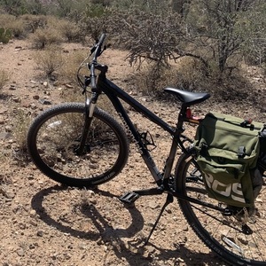 2023 Cannondale Trail 5 Black