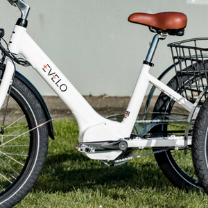 2023 Evelo 500W+20MPH tricycle White