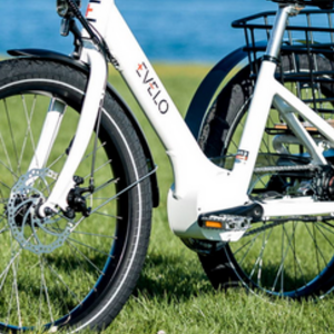 2023 Evelo 500W+20MPH tricycle White