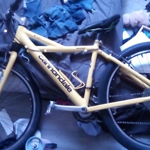 Cannondale Mountain bike Yellow or Gold
