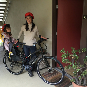 2015 Felt Sport-e Step-Through 49cm Black