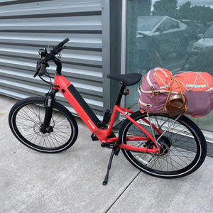 REI Co-op 6061 aluminum Pink