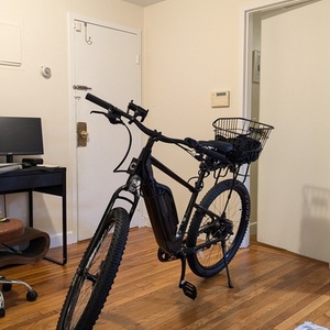2024 Cannondale Black