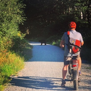 2021 Rad Power Bikes Rad runner plus Silver, gray or bare metal