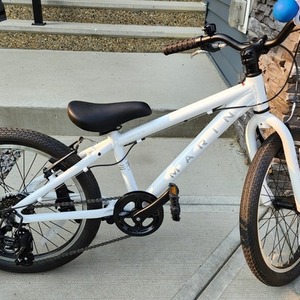 2021 Marin Bikes Donky Jr 20 White