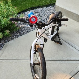 2021 Marin Bikes Donky Jr 20 White