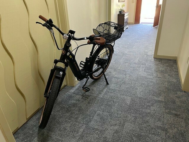 2024 AIMA E-Bike SANTA MONICA