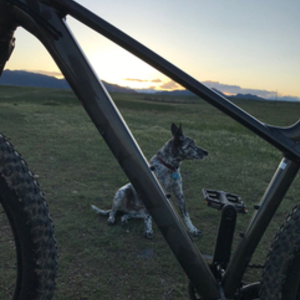 2019 Trek 585984 Black