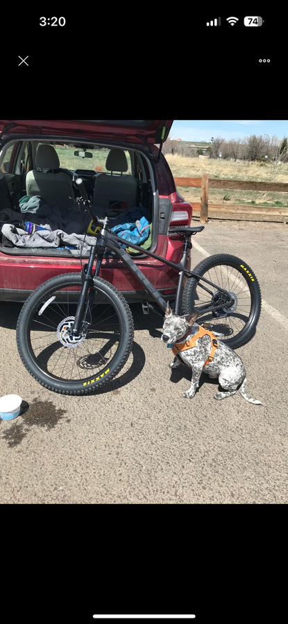 Bike photo