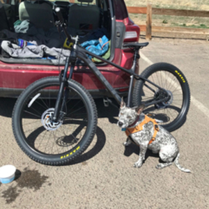 2019 Trek 585984 Black