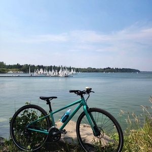 2021 Cannondale Quick Women's 3 Teal