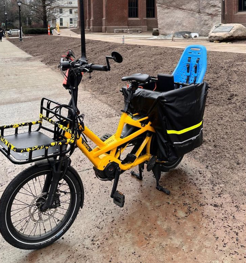 Cargo Bike Rear photo