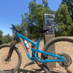 2021 Propain Tyee Blue and Orange