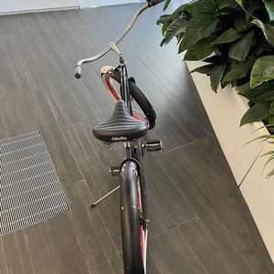 Electra Rat Rod Black, Red, and White