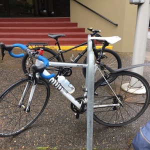 2014 Rose Xeon RS-2000 White