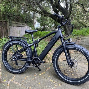 2023 Dirwin Black