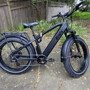 2023 Dirwin Black