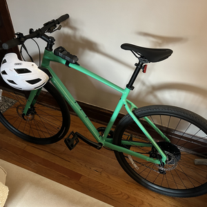 2024 Specialized Green