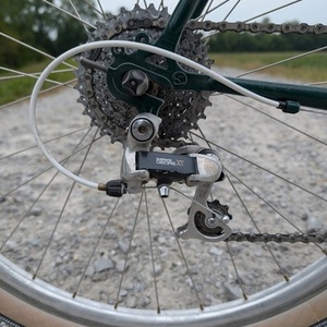 2020 Surly Pack Rat Green