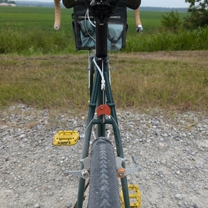 2020 Surly Pack Rat Green