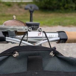 2020 Surly Pack Rat Green