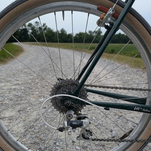 2020 Surly Pack Rat Green