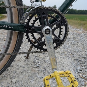 2020 Surly Pack Rat Green