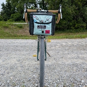 2020 Surly Pack Rat Green