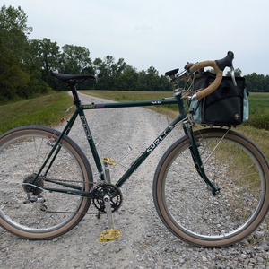 2020 Surly Pack Rat Green