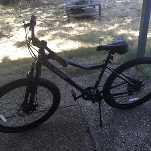 2024 Schwinn Junction. SNFSD Blue