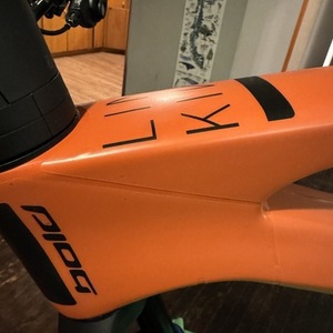 2024 Bold Linkin 150 Pro Orange