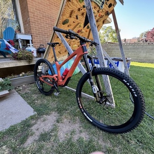 2024 Bold Linkin 150 Pro Orange