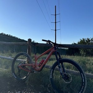 2024 Bold Linkin 150 Pro Orange