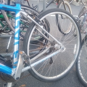 Raleigh CADENT Blue, White, and Silver, gray or bare metal