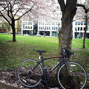 2017 Fuji Black