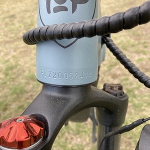 2021 Ride1Up 700 series Blue