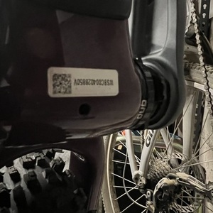 2024 Specialized Epic 8 Evo Purple