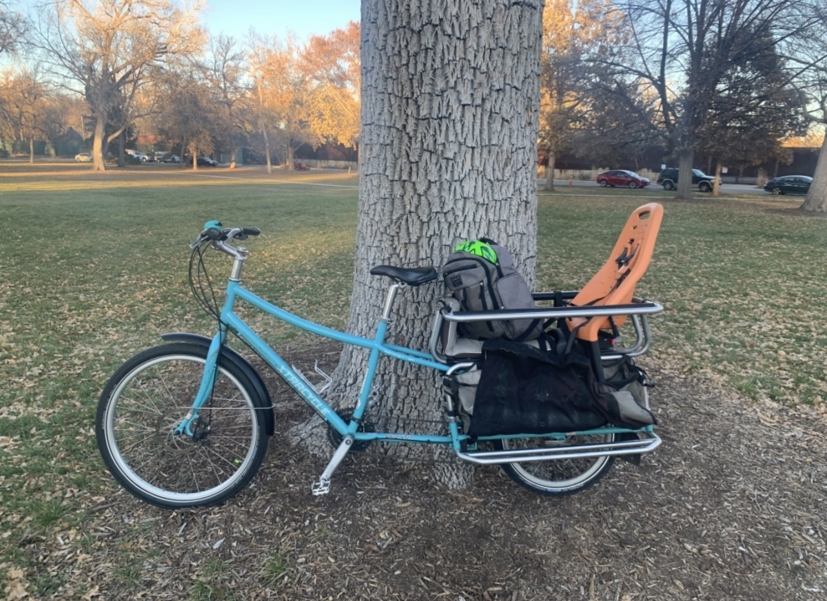 Cargo Bike Rear photo