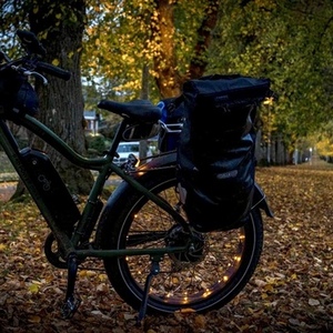 2020 Rad Power Bikes Rad Rover 5 Green and Black
